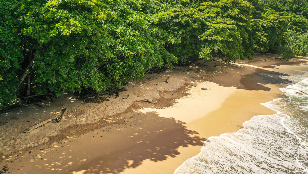 Playa pelada, Nosara Costa Rica